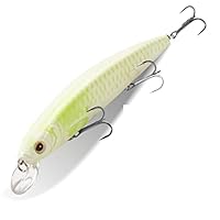 Amazon | フローティングミノー 14 センチメートル 24 グラム