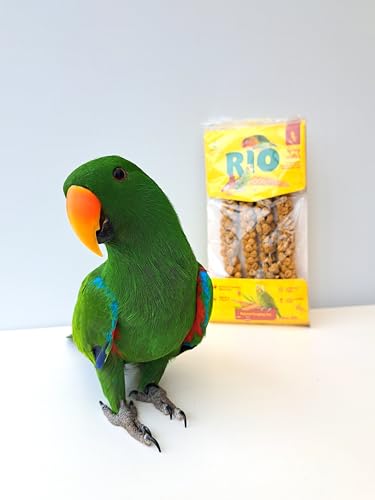 Kolbenhirse | 100 g | Ergänzungsfutter für Heimvögel | Beliebte Leckerei für Sittiche, Kanarien und mehr | Handverlesen & sorgfältig getrocknet | Ideal zum Spielen & Training – Bild 3