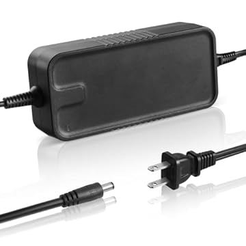 ancheer electric bike battery charger