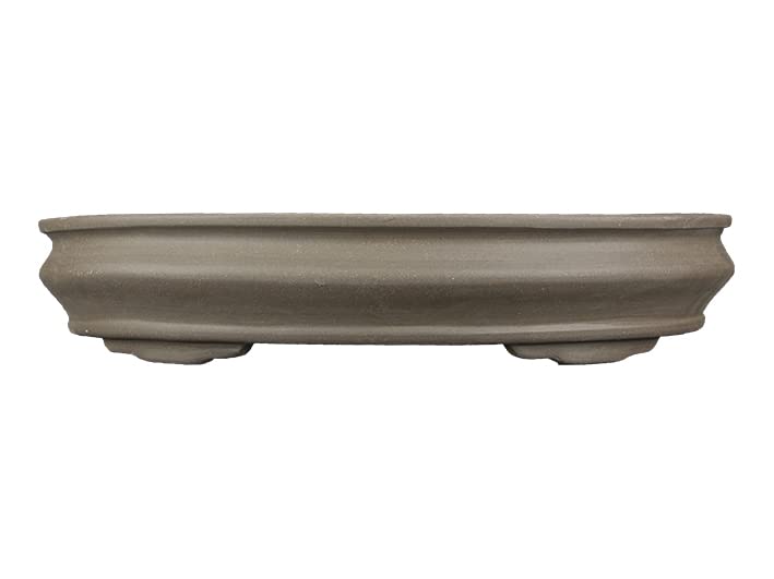 Geosism & Nature Pot à bonsaï Ovale en grès 55,5x40x5x8,5 cm - GL1a