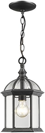 Z-Lite 1 Light Outdoor Chain 563CHM-BK