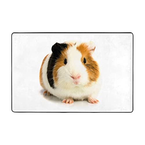 Tapis de salon cochon d'inde doux pour une chambre cocooning - 2