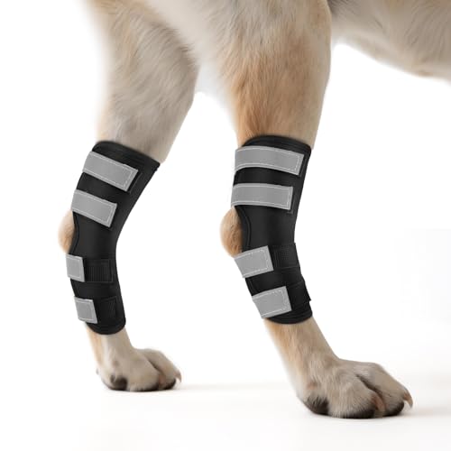 OHCOZZY Genouillère pour Chien 2 Unités for Pattes Arrière avec Sangles Réfléchissantes, Attelle pour Jambe Offrant Un Soutien Articulaire pour la Guérison des Blessures et des Entorses,S