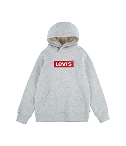Image of Levi's Graphic Pullover Hoodie