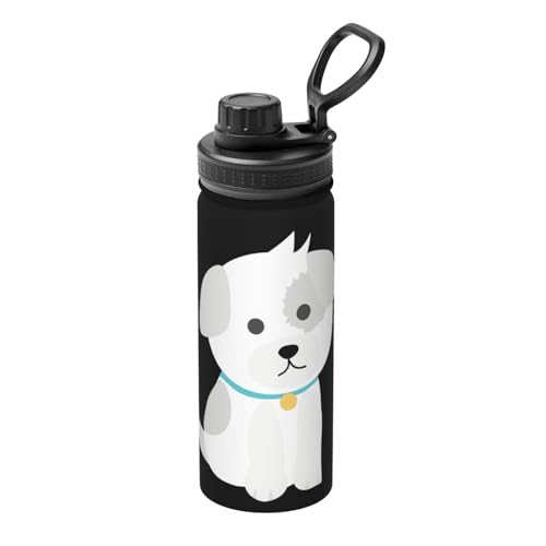   Č 500ml XeX{g }O{g  L[nht ^ѕ֗ RpNg ۉۗ