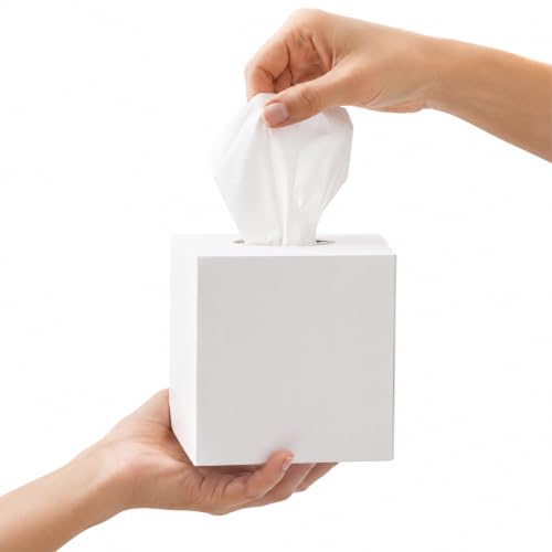 Brandsfinity Facial Tissue Cube Box 100 Sheets 2 Ply Tissues Premium Soft Feel Highly Absorbent Perfect Tissues for All Skin Types Home Office Car or Events