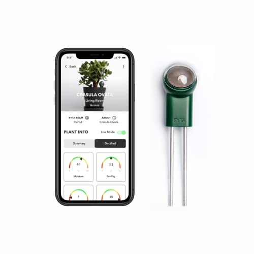 FYTA Beam Smarter Pflanzensensor - Misst Wasser, Temperatur, Licht, Düngebedarf - Pflanzen Feuchtigkeitsmessgerät, Bodenfeuchtesensor, Temperatursensor, Gießanzeiger Zimmerpflanzen - iOS Android App