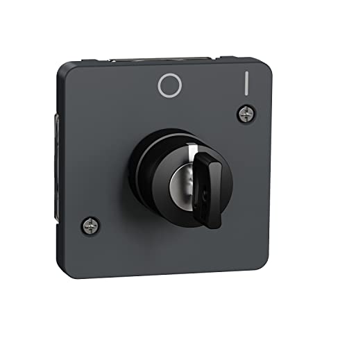 Schneider Electric MUR35062 Schlüsselschalter Grau