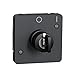 Schneider Electric MUR35062 Schlüsselschalter, 2 Positionen, Grau