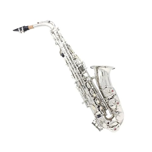 TbNX ⃁bLEtbgAgTbNXALOobOA[hO[uAN[jONXAANZT[t