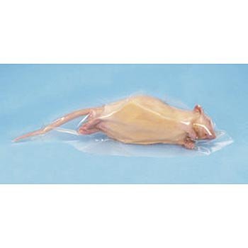 Carolina's Perfect Solution Rat, 7