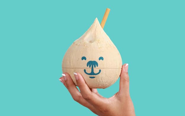 Cocobear Organic Thai Coconuts with Bamboo Drinking Straws — view 8