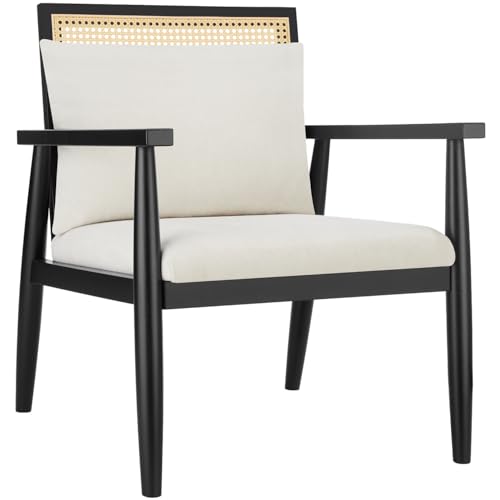 TecTake® Sillón Vintage con Mimbre Vienés y Cojín Extraíble, Butaca de Salón con Reposabrazos y Gran Respaldo, Sillón Lectura, Sillón Relax de Fácil Montaje y Limpieza, Ideal Mueble Salón, Dormitorio