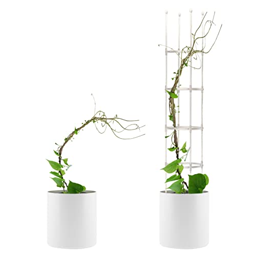 gormyel Bloemenstandaard voor plantenbakken; obliek metalen vlechtwerk met PE en PP-coating voor klimplanten en planten… - Image 8