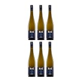Weingut Manz Riesling Spätlese Weisswein Weiss Halbtrocken Deutschland inkl. FeinWert E-Book (6 x 0.75 l)