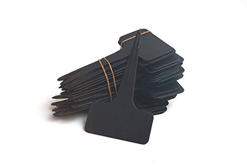 100 Pcs T Type Plant Labels PVC Material Waterproof for Seedling Patio Lawn
