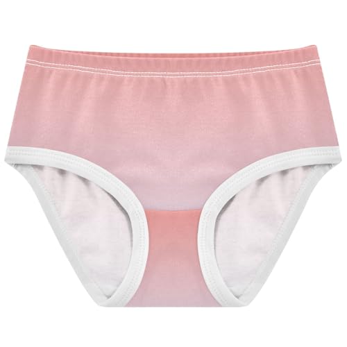 Joisal Bright Girls Underwear Toddler 2t Cotton Panties Little Girl Coral Pink Lavender Gradient Briefs Undies Kids