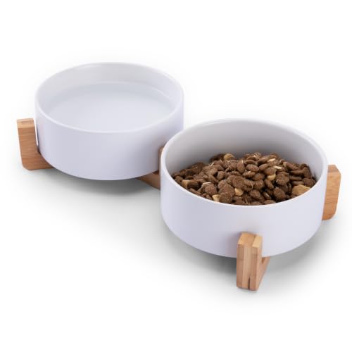 MateeyLife Ceramic Dog and Cat Bowls with Stand, 2-Pack Food and Water Bowl Set - Non-Slip Pet Bowls for Cats,Puppies and Small Dogs, 13.5OZ（White）