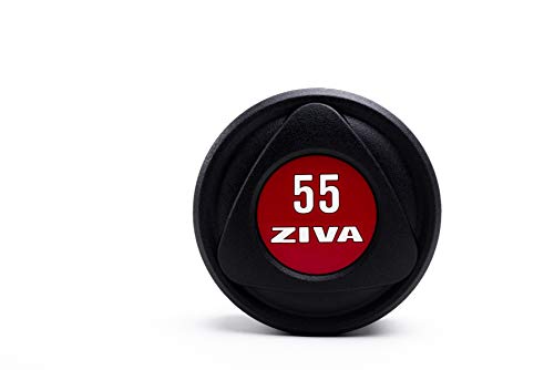 Ziva Sl Urethane Dumbbell For Weight Lifting, Core Training – Ergonomic, Comfort Grip – Set Of Two, 55 Lb. Red #TOP1