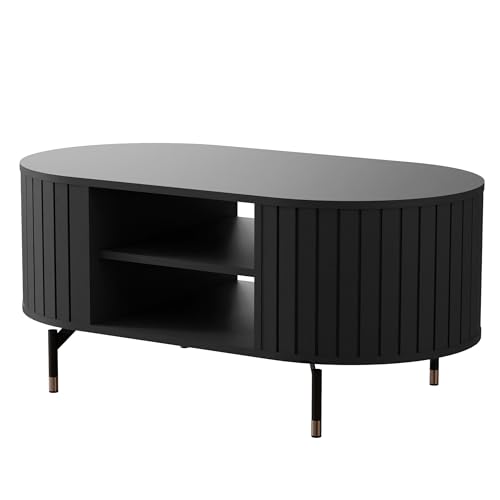 IDOHOME 104x56 cm Noir Table Basse Oval avec Rangement Moderne Table Basses Salon