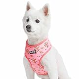 Blueberry Pet Soft & Comfy Spring Scent Inspired Floral Rose Baby Pink Dog Harness Vest, Chest Girth 16' - 21', Small, Adjustable Harnesses for Dogs