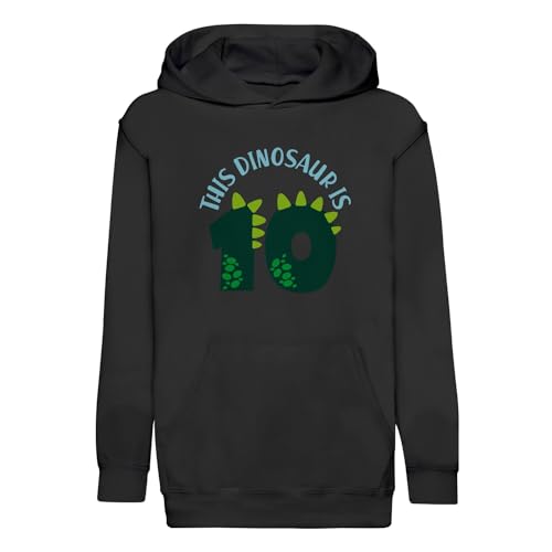 Sweat à capuche enfant 10 ans motif dinosaure pour anniversaire