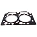 Czomoizc T7762-95 Head Gasket Compatible with Jinma FarmPro Nortrac AgKing JB Engine TY290 YD290 Y290 Tractor JM 200 224 2420 2010 NT204