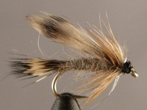 Wet Fly, Adams - #12