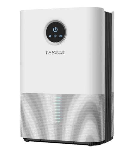 Consejos para Comprar Deshumidificador Walmart para comprar online. 43 Deshumidificador de 1000ml Silencioso, Portátil Deshumidificadores para Humedad con luz,Apagado Automático, apto para Cuarto, Closet, Baño