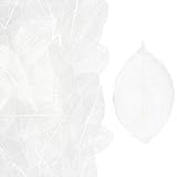 ficus religiosa fruit edible FOGLIE NATURALI DUREVOLI CON SCHELETRO:la vera foglia essiccata e pressata presenta venature intricate e dettagliate che creano un motivo bellissimo e unico. La natura trasparente della foglia consente alla luce di trasparire, esaltandone la bellezza.