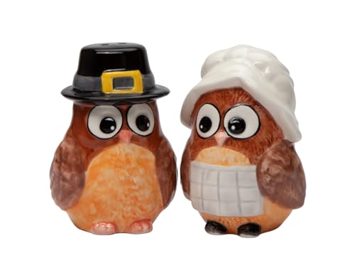 Cosmos Gifts 21060 Thanksgiving Pilgrim Owls Salt and Pepper Shakers
