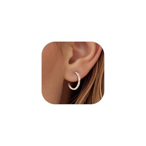 PROSTEEL Hoop Earrings for Women Men, 8mm/10mm/12mm/14mm/16mm/18mm/20mm Small Huggie Hoops, Gold/Silver/Black/Rose Gold Hypoallergenic, Everyday Earrings Jewelry for Multiple Piercings 20mm