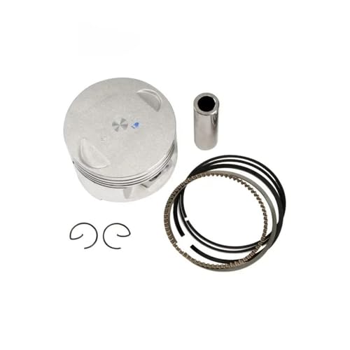 70mm 70.25mm .5mm .75mm 71mm +25 +50 I[goCV_[GWsXgOLbg XT225 SEROW XT225D XT 225p(Ivory)