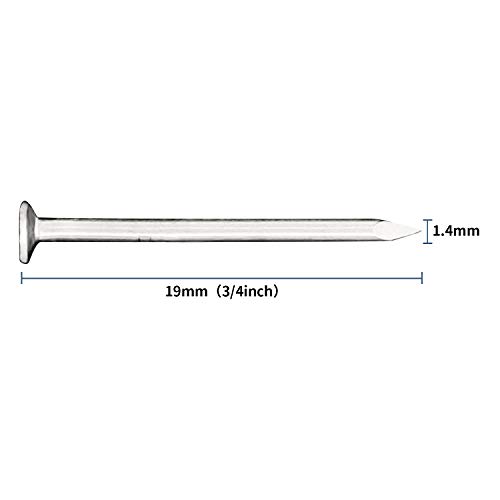 Image of JEGONFRI 900PCS 3 /4 inch Nickel Flat Head Nails for Hanging Pictures & Woodwork | Premium Carbon Steel Build, Rust-Resistant Nickel Finish, Consistent Size & Strength