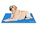 Pecute Alfombra Refrescante para Perro Actualización Engrosada 0.4mm 300D Oxford Alfombrilla de Refrigeración Automática para Animales de Compañía