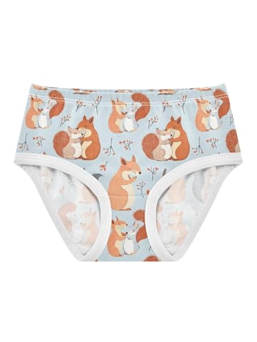 ZZKKO Fall Squirrel Hug Girls Underwear Toddler Panties for Girls Comfort Brief Size 2-8T