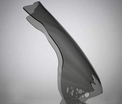 R 1150 GS 1999-2005 Windshield Windscreen Cupolino...