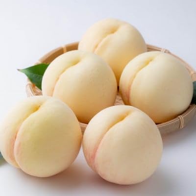 (先行受付)ご家庭用 白桃(晩生種) 約1.5kg(5〜6玉)