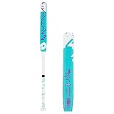 affordable asa softball bat affordable asa softball bat