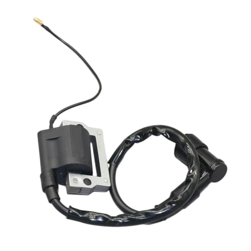 Bobina de encendido para solucionar fallos de arranque en Z50M 2