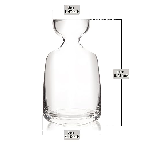 Miczhuoguang Vaso de flor de árvore de semente de abacate - Vaso de vidro de semente de abacate para