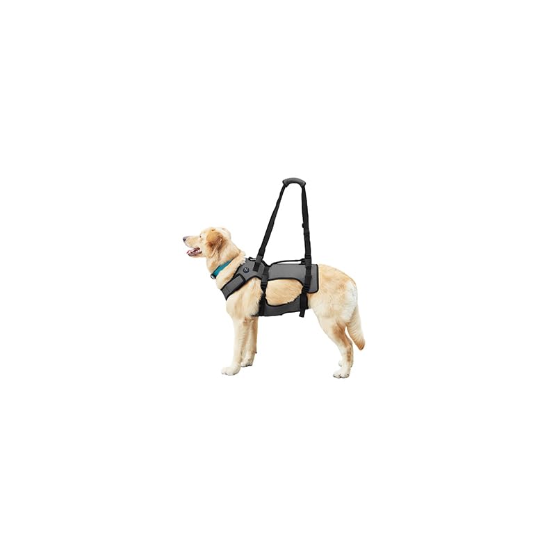 Coodeo Dog Lift Harness, Support & Recovery Sling, Pet Rehabilitation Lifts Vest Adjustable Breathable Straps for Old, Disabled, Joint Injuries, Arthritis, Paralysis Dogs Walk (Grey,XLarge)