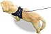 Copatchy No Pull Reflective Adjustable Dog Harness With Handle- Comfortable Soft All Weather Mesh, Easy On Puppy Harness For Small Medium and Large Dogs (Blue) Small