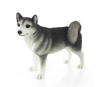 The Leonardo CollectionThe Leonardo Dog Studies Huskey Figure/Ornament, Resin, Grey & White, H14cm