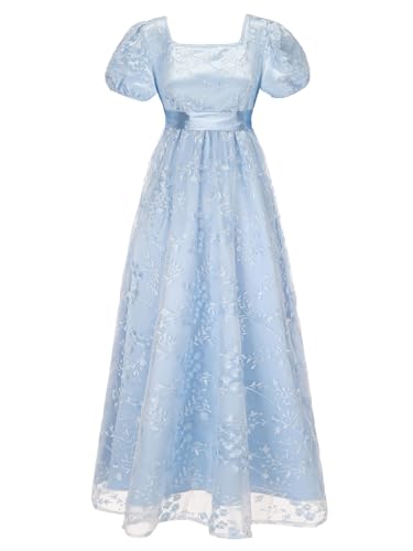 Regency Dresses for Women Regency Era Dress Luxurious Empire Waist Embroidery Ball Gown Tea Party Blue XL : Clothing, Shoes & Jewelry