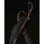 Vitamin C Body Oil for Women and Men. Moisturizing Vanilla Verve Scented Body Serum for Glowing Skin. Nourishing, Hydrating After-Shower and Bath Skin Care Moisturizer, 4.2 Fl Oz - Image 4