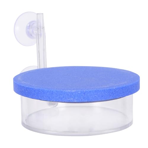 ERINGOGO pGAXg[ ^ F ׂAŎ_f É݌v zՌŒ ou[fBt[U[ p_fo