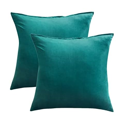 Big Size 30x30 Inches Throw Pillow Cases Pack of 2 Cozy Soft Velvet Square Decorative Pillow Covers for Farmhouse Home Decor Cover