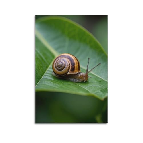 Décoration murale artistique moderne ZHOUKEG pour raviver un mur blanc vide, feuille d'escargot