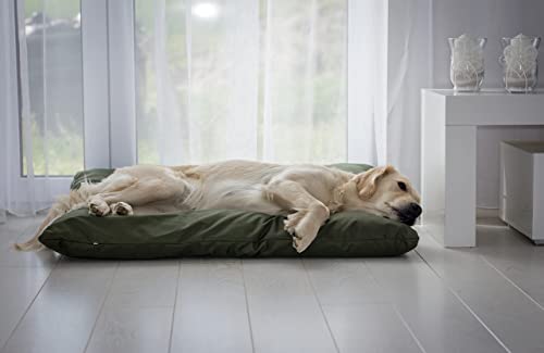4L Textil ZOE Hundekissen waschbar mit Bezug und Reißverschluss Hundekissen Grosse Hunde Hundematte Liegekissen für Hunde waschbares Hundebett Grosse Hunde (60x50 cm, Dunkelgrün)